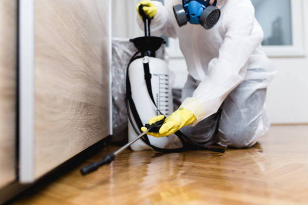 Best Pest Prevention Services  in Panama, OK