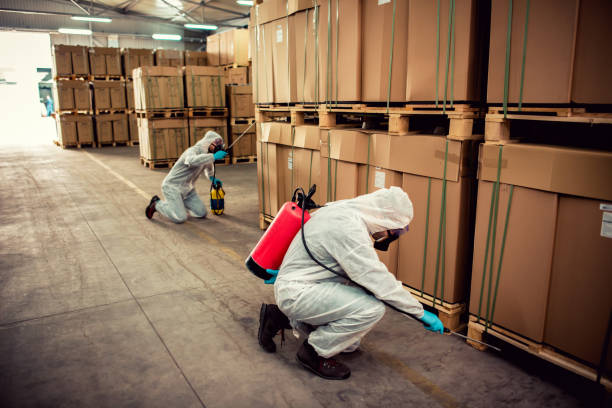 Best Best Pest Control Companies  in Panama, OK