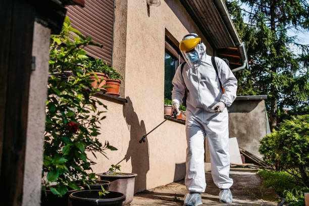 Best Commercial Pest Control Services  in Panama, OK