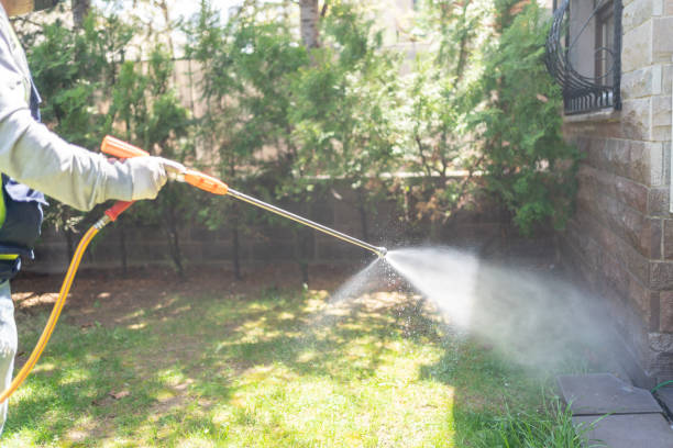 Best Pest Prevention Services  in Panama, OK